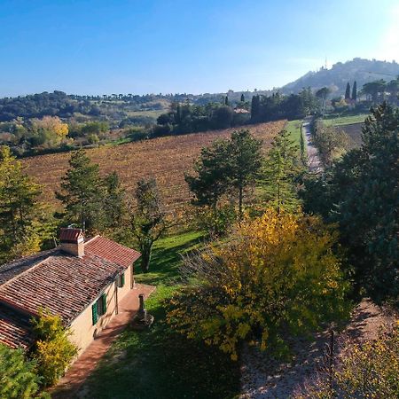 Il Vigneto Cottage Bertinoro Luaran gambar