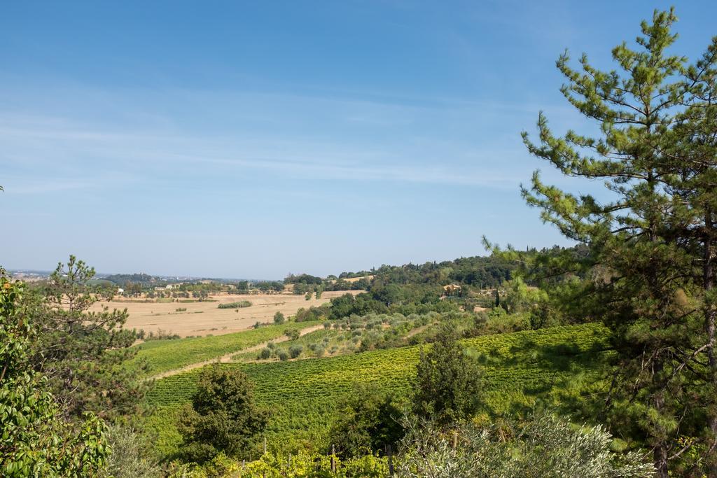 Il Vigneto Cottage Bertinoro Luaran gambar